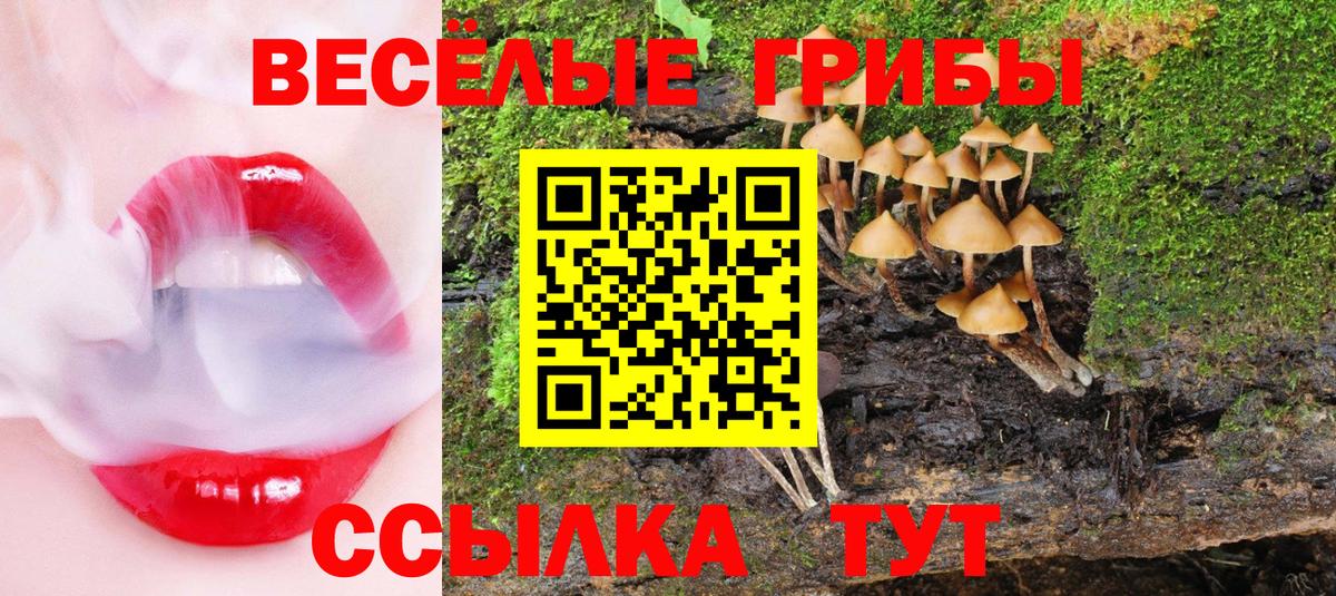 Галлюциногенные грибы ЛСД  Вход с VPN  Галлюциногенные грибы Cubensis  Каменка 