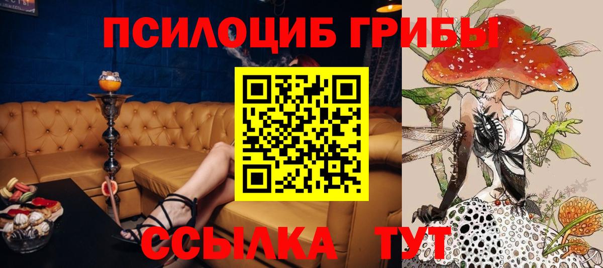 Галлюциногенные грибы прущие грибы  Галлюциногенные грибы Magic Shrooms  Каменка 