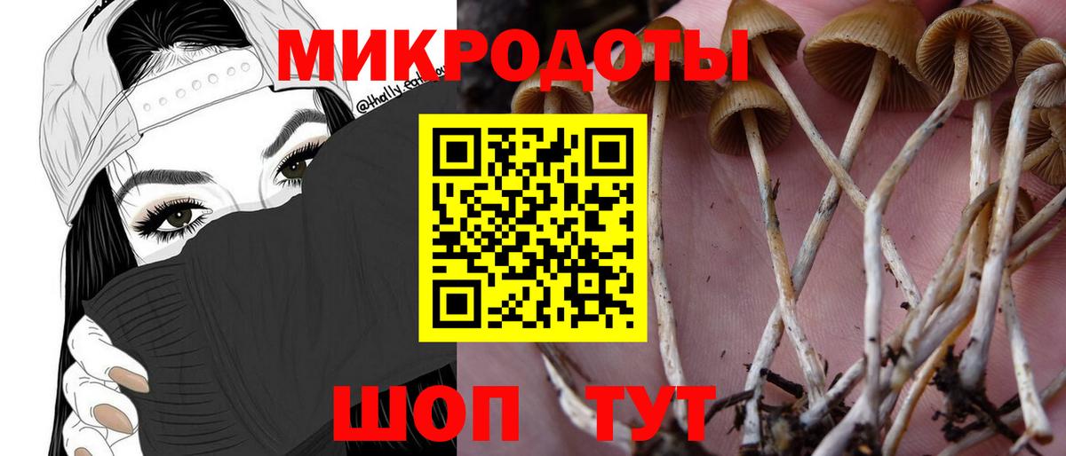 Псилоцибиновые грибы GOLDEN TEACHER Каменка