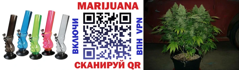 где можно купить   Каменка  Шишки марихуана план 